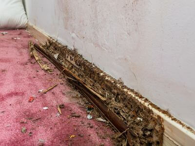 About Experienced Water Damage Restoration LLC